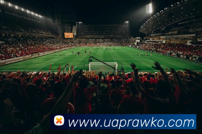 开云kaiyun网站APP 高清赛事图